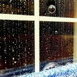 Grand Rapids window cleaning company